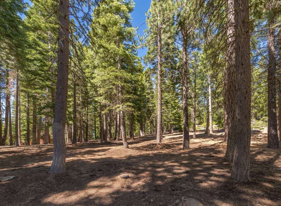 Escape to this serene forest setting, perfect for your dream home or vacation getaway.