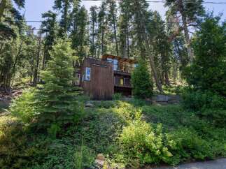 Nestled amidst towering trees, this unique wooden home offers a secluded mountain retreat.