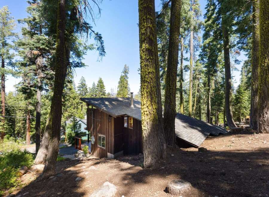 Nestled amongst towering pine trees, this rustic wooden cabin offers a serene mountain retreat.