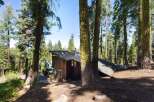 Nestled amongst towering pine trees, this rustic wooden cabin offers a serene mountain retreat.