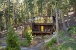 Nestled amidst towering trees, this unique modern cabin offers a serene retreat.