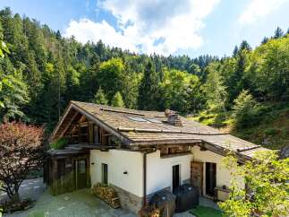 Nestled amidst a lush green forest, this charming chalet offers a serene mountain retreat.