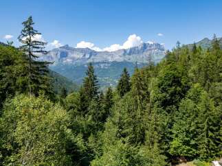 Experience breathtaking mountain views from this stunning property, nestled amidst lush green forests.