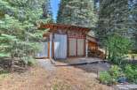 Discover this unique property featuring a rustic-modern shed with corrugated metal siding and a sloped wooden roof, nestled amongst mature pine trees.