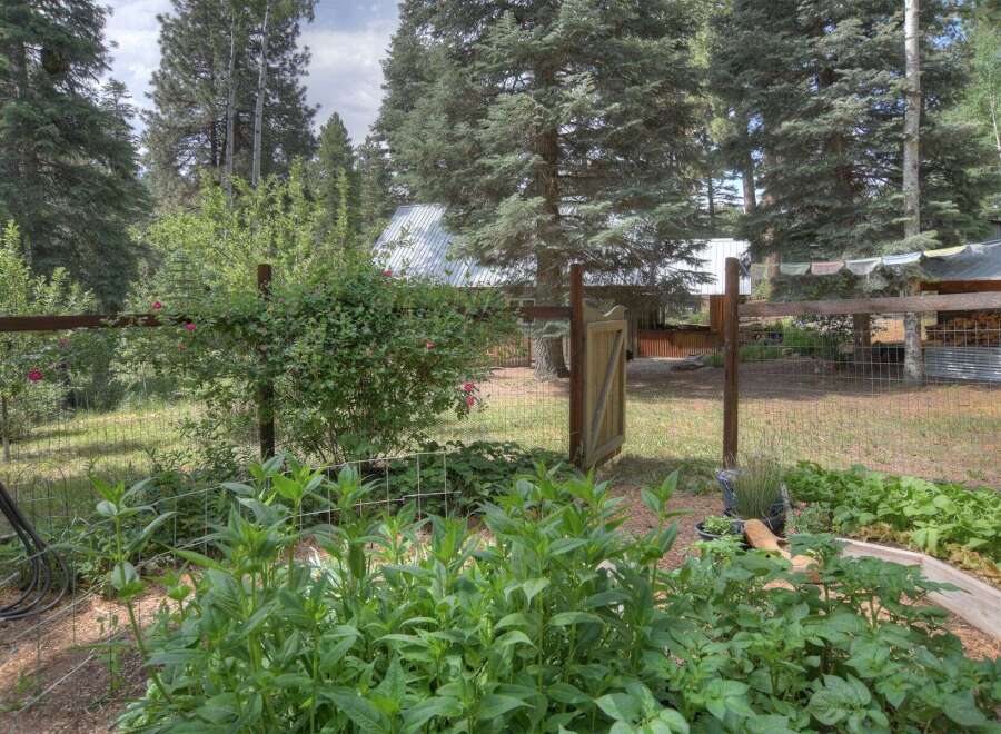 Discover a charming rural retreat with a thriving garden, perfect for those who love to cultivate their own produce.