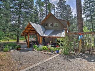 Escape to this charming cabin nestled amongst tall pine trees, offering a serene retreat.