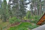 Escape to this serene mountain retreat, nestled amidst towering pine trees and lush greenery.