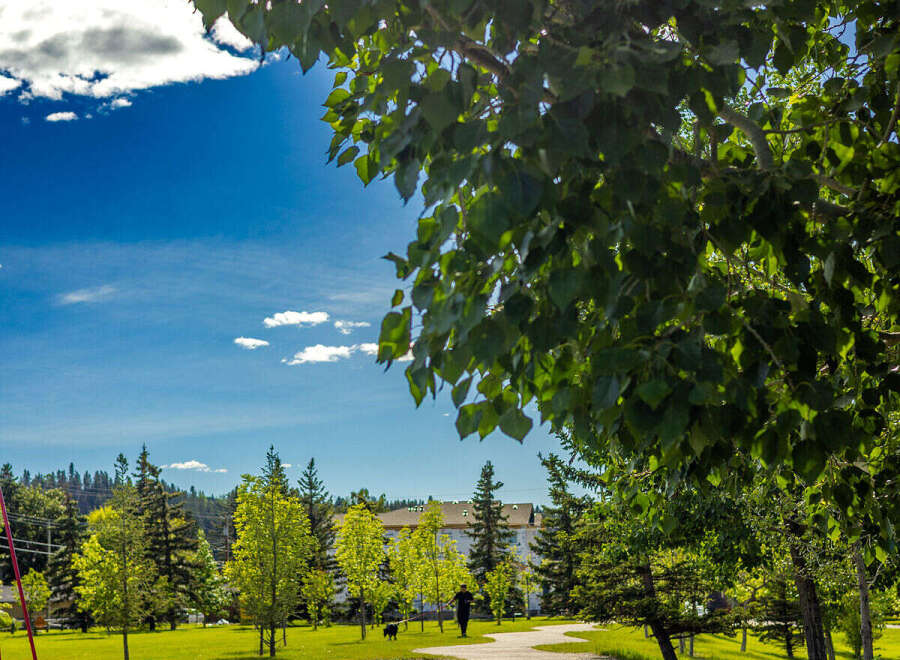 Enjoy a leisurely stroll or jog along this scenic paved pathway, perfect for residents of this vibrant community.