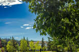 Enjoy a leisurely stroll or jog along this scenic paved pathway, perfect for residents of this vibrant community.