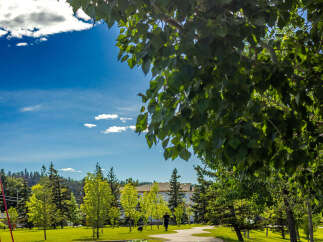 Enjoy a leisurely stroll or jog along this scenic paved pathway, perfect for residents of this vibrant community.