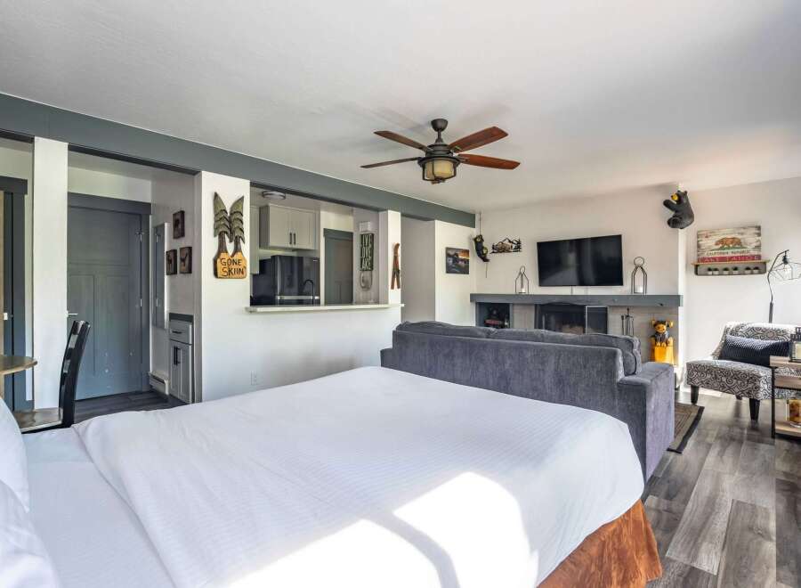 Experience the perfect blend of comfort and style in this studio apartment, featuring a cozy sleeping area, a well-equipped kitchenette, and a inviting living space with a fireplace.
