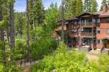 Nestled amidst towering pine trees, this charming multi-level residence offers a serene mountain getaway.