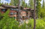 Nestled amidst towering pine trees, this charming multi-story condo offers a serene mountain retreat.