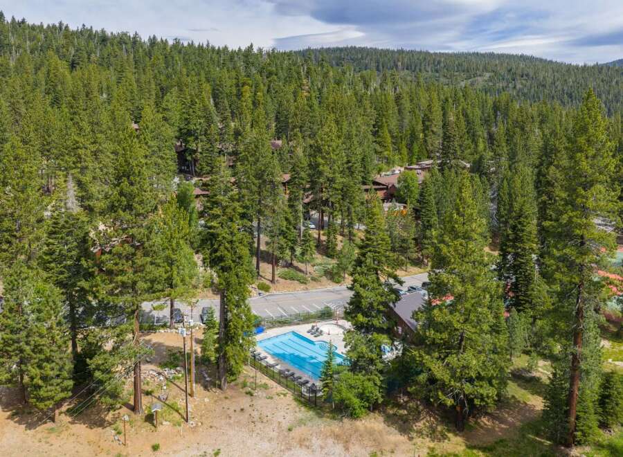 Nestled amidst a dense forest, this property offers a serene retreat with a sparkling blue swimming pool and ample lounge chairs for relaxation.