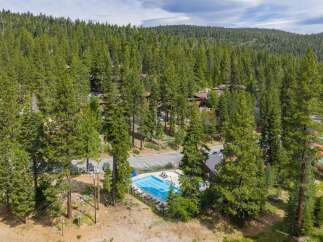 Nestled amidst a dense forest, this property offers a serene retreat with a sparkling blue swimming pool and ample lounge chairs for relaxation.