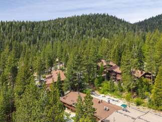 Nestled amidst a dense forest of tall evergreen trees, this property offers a serene mountain retreat.