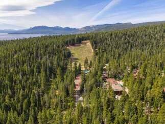 Nestled amidst a dense pine forest, this property offers a unique blend of natural beauty and recreational amenities.