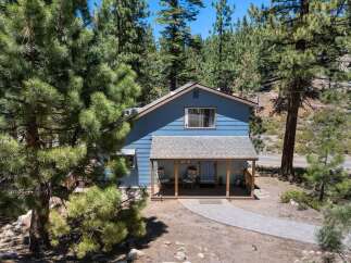 Nestled amidst tall pine trees, this charming blue home offers a serene mountain retreat.
