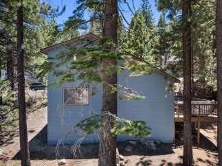 Nestled amongst tall pine trees, this charming home offers a serene mountain retreat.