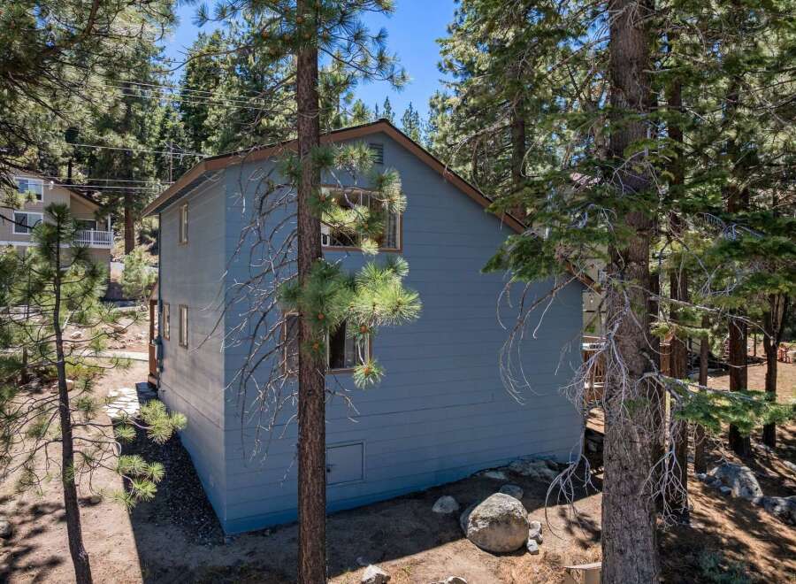 Nestled amidst tall pine trees, this charming blue home offers a serene mountain retreat.