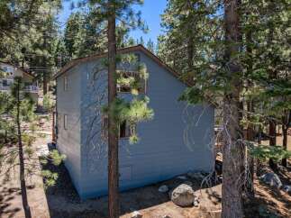 Nestled amidst tall pine trees, this charming blue home offers a serene mountain retreat.