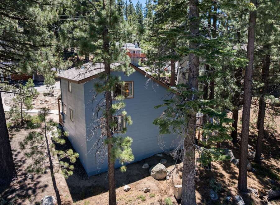 Nestled amongst tall pine trees, this charming blue home offers a serene mountain retreat.
