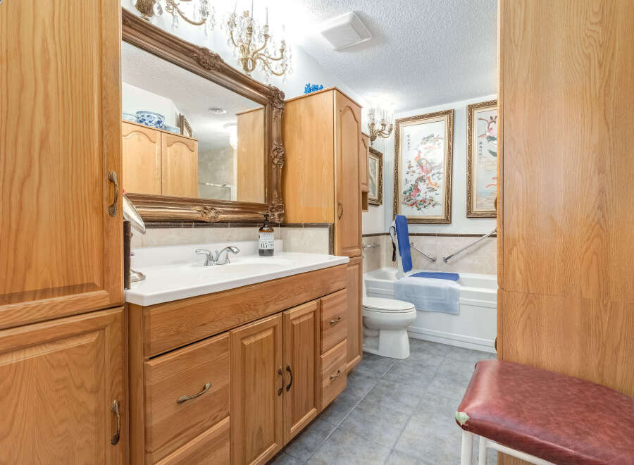 This bathroom features a spacious vanity with ample storage and a large ornate mirror.