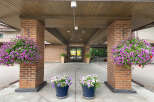 Welcome guests with vibrant curb appeal, featuring lush hanging flower baskets overflowing with purple and white petunias.