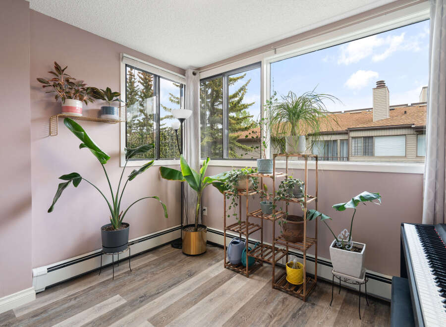 Bright and airy sunroom filled with lush greenery, featuring large windows that offer scenic views of the outdoors.