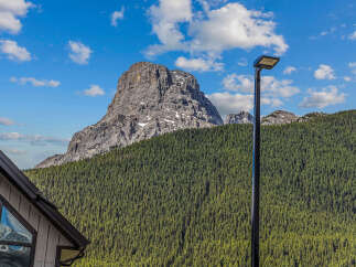 Experience breathtaking mountain views from this stunning property, nestled amidst a lush evergreen forest.