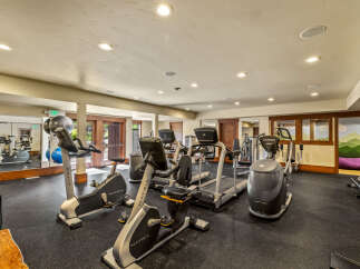 Elevate your fitness routine in this well-equipped home gym, featuring a variety of Matrix and Octane cardio machines including treadmills and stationary bikes.