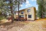 Nestled amongst mature pine trees, this charming yellow home offers a serene retreat.