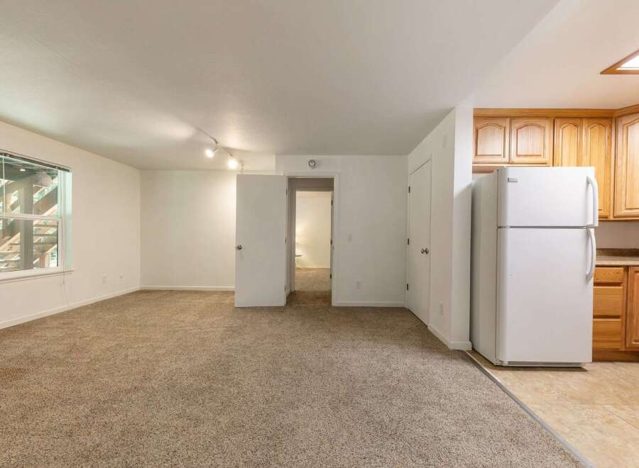 Discover comfortable living in this spacious apartment featuring a large, carpeted living area perfect for relaxation and entertainment.