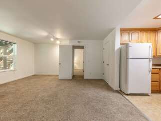 Discover comfortable living in this spacious apartment featuring a large, carpeted living area perfect for relaxation and entertainment.