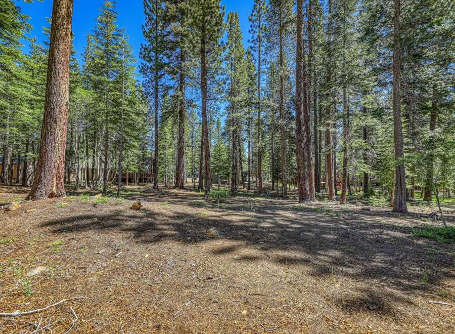 Nestled amongst towering pine trees, this property offers a serene and private setting.