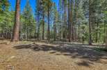 Nestled amongst towering pine trees, this property offers a serene and private setting.
