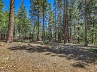 Nestled amongst towering pine trees, this property offers a serene and private setting.