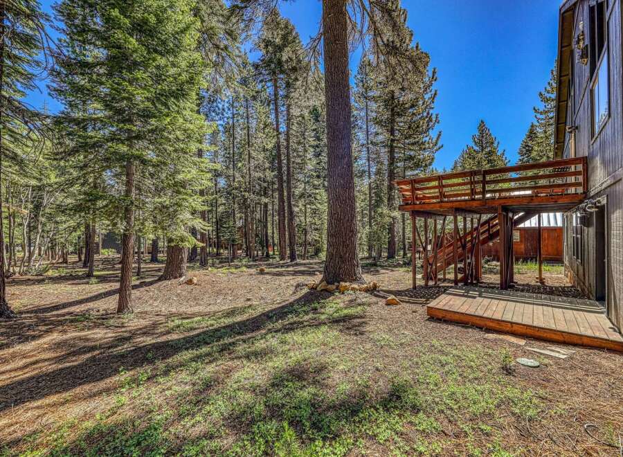 Nestled amidst a serene pine forest, this property offers a unique blend of natural beauty and modern living.