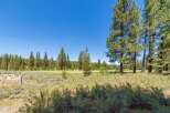 Discover a serene golf course setting surrounded by mature pine trees and lush natural landscaping.