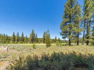 Discover a serene golf course setting surrounded by mature pine trees and lush natural landscaping.