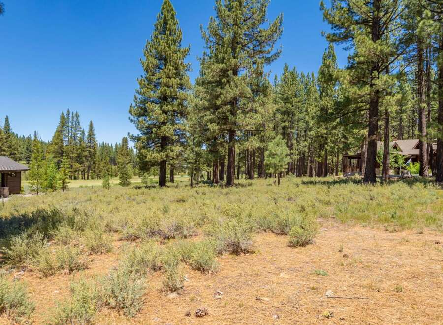 Nestled amidst a serene pine forest, this property offers a tranquil retreat with a charming cabin visible on the left and a larger home peeking through the trees on the right.