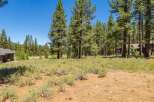 Nestled amidst a serene pine forest, this property offers a tranquil retreat with a charming cabin visible on the left and a larger home peeking through the trees on the right.