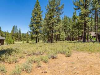 Nestled amidst a serene pine forest, this property offers a tranquil retreat with a charming cabin visible on the left and a larger home peeking through the trees on the right.