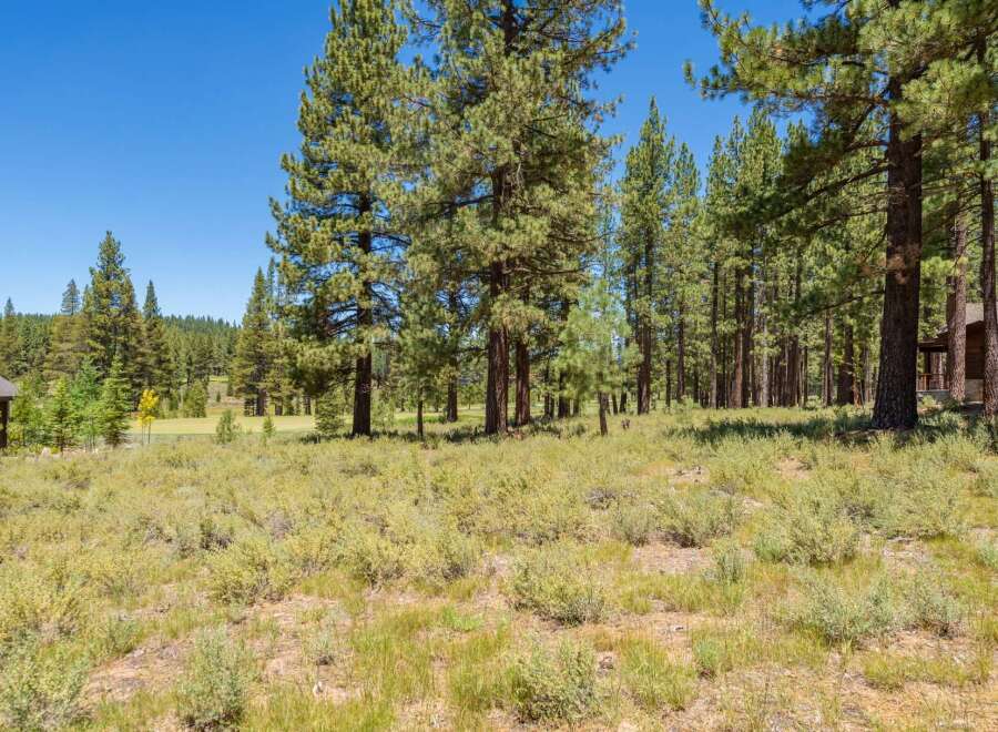 Nestled amidst a serene pine forest, this property offers a tranquil escape with breathtaking natural beauty.