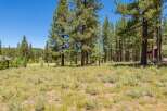 Nestled amidst a serene pine forest, this property offers a tranquil escape with breathtaking natural beauty.