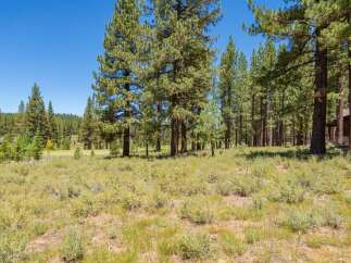 Nestled amidst a serene pine forest, this property offers a tranquil escape with breathtaking natural beauty.