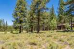 Nestled amidst a serene pine forest, this property offers a tranquil retreat with a charming cabin-style home visible through the trees.