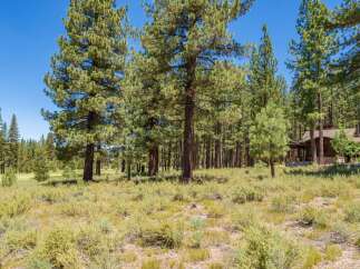 Nestled amidst a serene pine forest, this property offers a tranquil retreat with a charming cabin-style home visible through the trees.