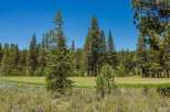 Experience the serene beauty of this golf course property, nestled amidst a lush forest of towering pine trees.