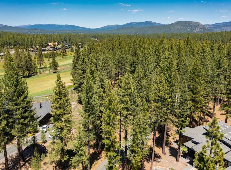 Experience luxury living nestled amongst towering pine trees with this stunning property.